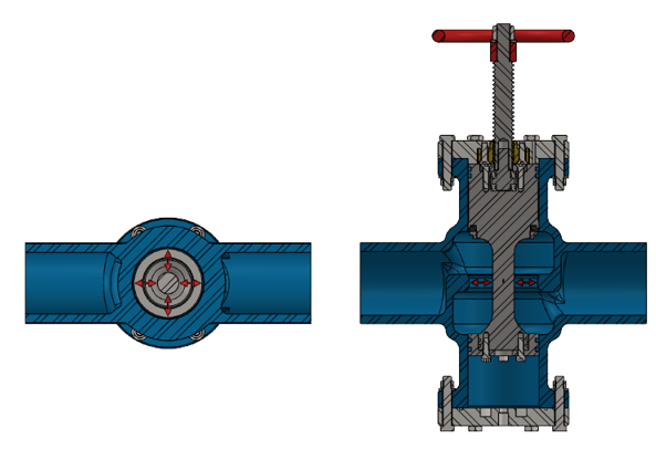 Globe Valve